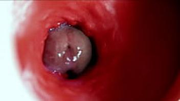 Inside a wet, slick hole, a large, gorgeous cock flows freely and smacks!