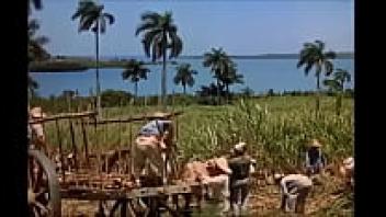 Weekend in Havana (Portuguese old film)