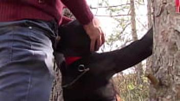 Preview: Bondage Hood Facelove Milf compilation