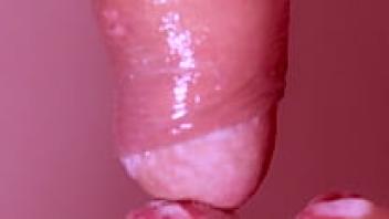 Japanese close-up, blowjob, and pornographic narrative