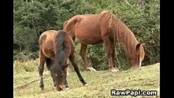 A couple of lustful, gay, bare-backed sex hardciore